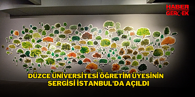 Düzce Üniversitesi Öğretim Üyesinin Sergisi İstanbul'da Açıldı