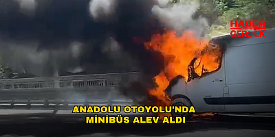 Anadolu Otoyolu'nda Minibüs Alev Aldı