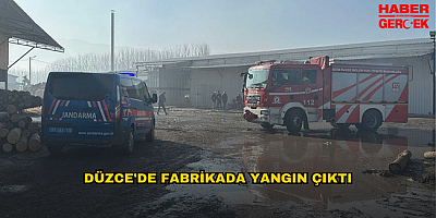 DÜZCE'DE FABRİKADA YANGIN ÇIKTI