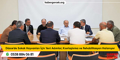 Düzce'de Sokak Hayvanları İçin Yeni Adımlar; Kısırlaştırma ve Rehabilitasyon Hızlanıyor