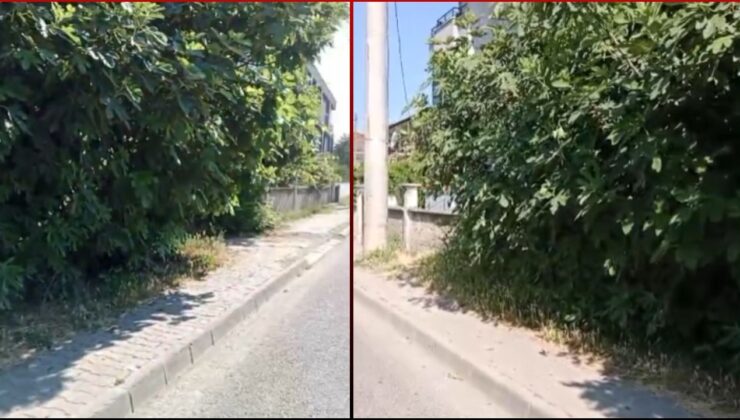 DÜZCE’DE KALDIRIMLAR YÜRÜNMEZ HALDE; BELEDİYE’NİN İHMALİ VATANDAŞI İSYAN ETTİRDİ