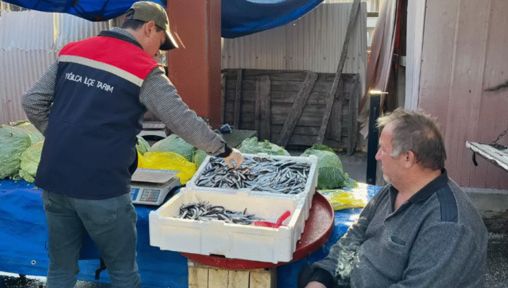 Yığılca’da Su Ürünleri Denetimi Yapıldı