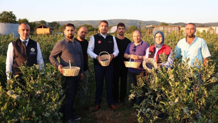GENÇ ÇİFTÇİYE YABAN MERSİNİ HASADINDA VALİ DESTEĞİ