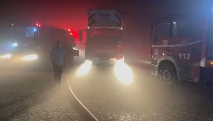 Düzce’de Mobilya Fabrikasında Yangın Paniği