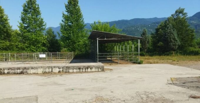 GÖLYAKA HAYVAN PAZARI GEÇİCİ OLARAK KAPATILDI