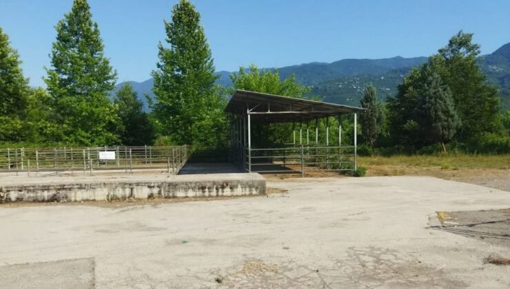 GÖLYAKA HAYVAN PAZARI GEÇİCİ OLARAK KAPATILDI